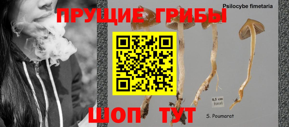 Псилоцибиновые грибы GOLDEN TEACHER  Вход с VPN  Екатеринбург 